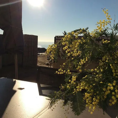 Les Pieds Dans L'eau Апартаменты *